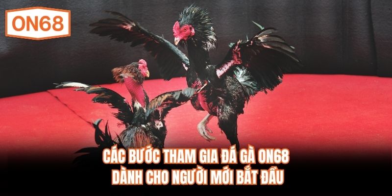 Các bước tham gia đá gà ON68 dành cho người mới bắt đầu
