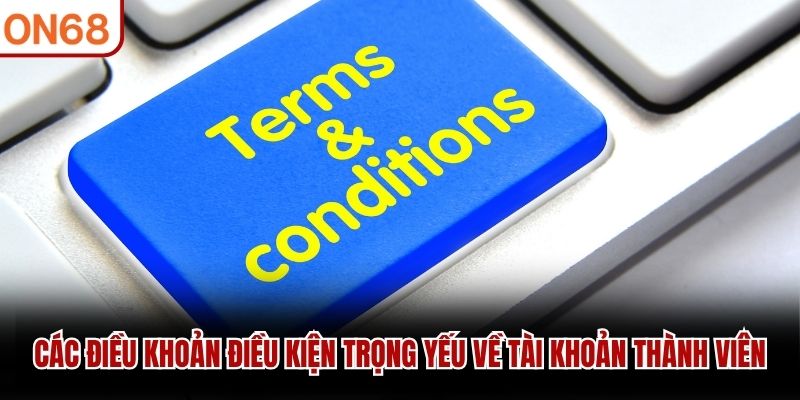 Các điều khoản điều kiện trọng yếu về tài khoản thành viên