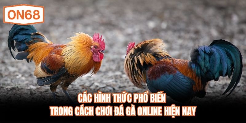 Các hình thức phổ biến trong cách chơi đá gà online hiện nay