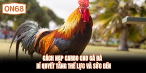 Cách Nạp Carbo Cho Gà Đá