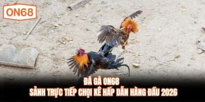 Đá Gà ON68