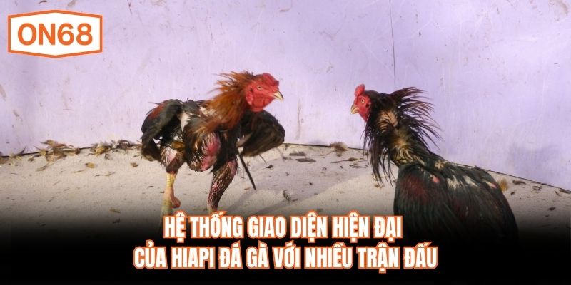 Hệ thống giao diện hiện đại của HiAPI đá gà với nhiều trận đấu