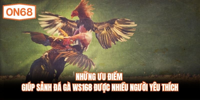 Những ưu điểm giúp sảnh đá gà WS168 được nhiều người yêu thích