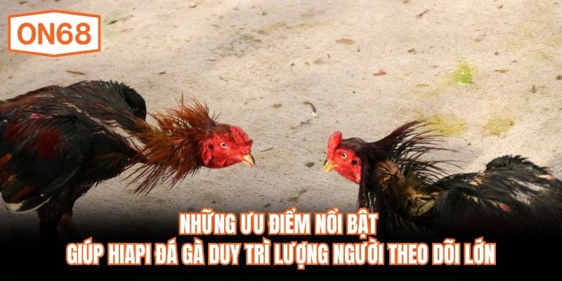 Những ưu điểm nổi bật giúp HiAPI đá gà duy trì lượng người theo dõi lớn