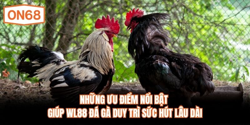 Những ưu điểm nổi bật giúp WL88 đá gà duy trì sức hút lâu dài