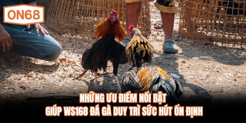 Những ưu điểm nổi bật giúp WS168 đá gà duy trì sức hút ổn định