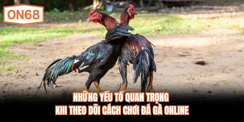 Những yếu tố quan trọng khi theo dõi cách chơi đá gà online
