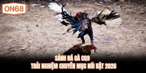 Sảnh Đá Gà CQ9