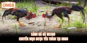 Sảnh Đá Gà WS168