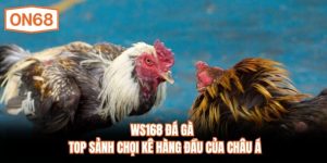 WS168 Đá Gà
